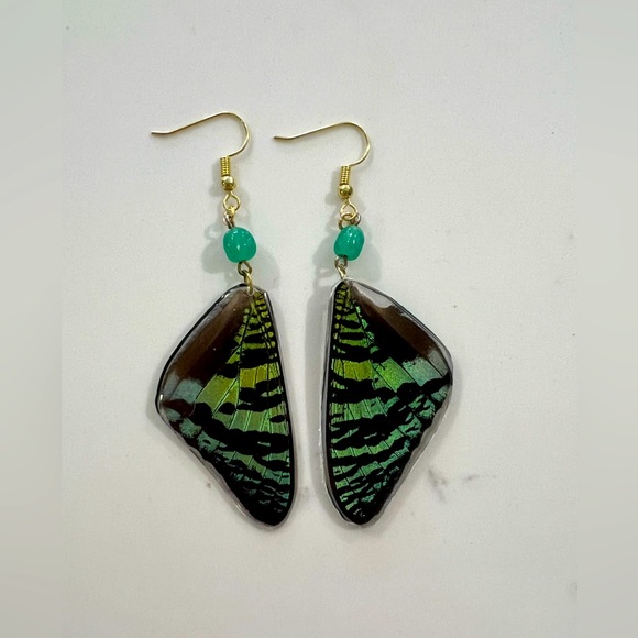 Jewelry - Real Butterfly wing  Earrings. Handmade. Coated in resin